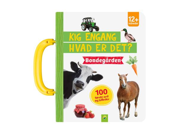 "Hvad er det" bog