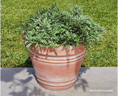 Premium Tuscan Fibre Clay Planter 