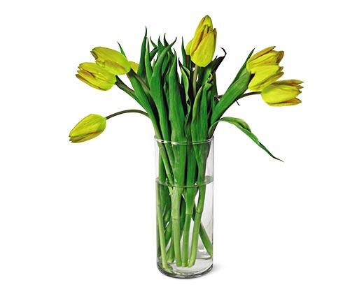 10-Stem Tulip Bouquet Assorted Colors