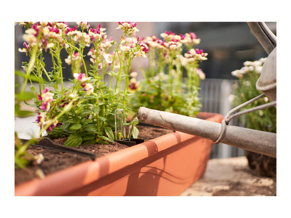 Parkside Plant Trough