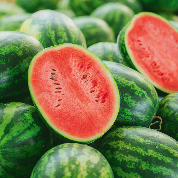 Riesenwassermelone