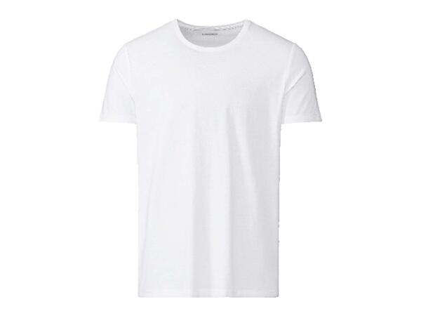 Men's T-Shirts