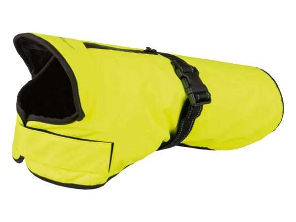 Water-Repellent Dog Coat