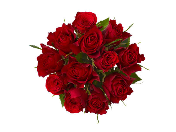 Dozen Red Roses