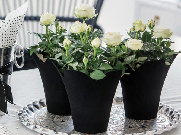 Eksklusiv nytårsrose med glimmer