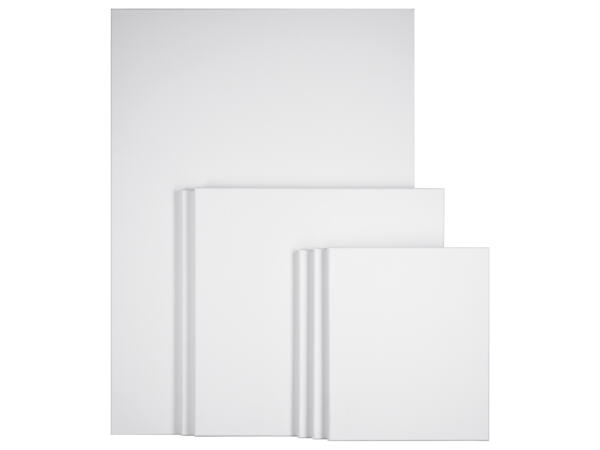Canvas Set