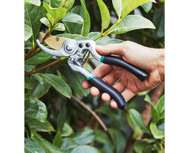 Premium Pruning Shears