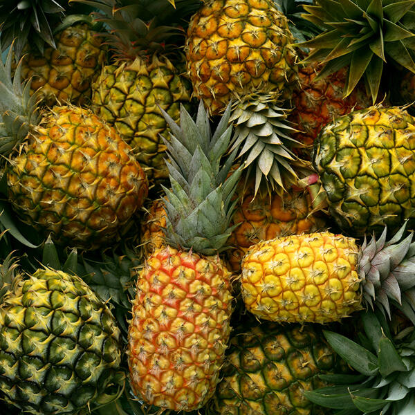 Ananas