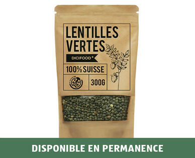 LENTILLES VERTES