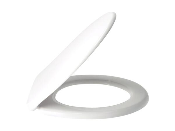 Toilet Seat