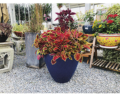 Gardenline 20" Planter