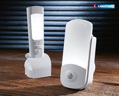 LED Night Light with Removable Torch