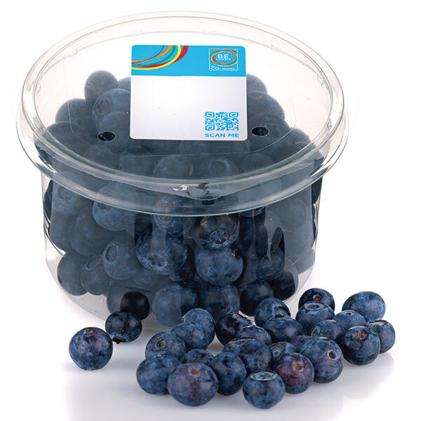 Premium Heidelbeeren