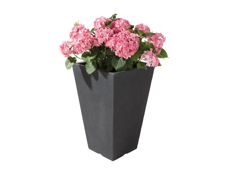 Florabest Tall Planter