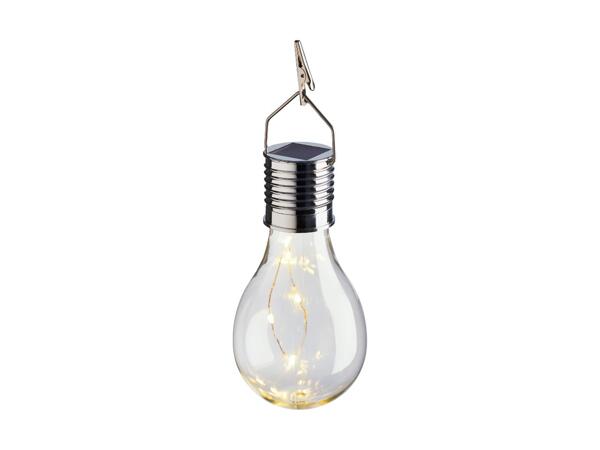 Decorative Solar Light