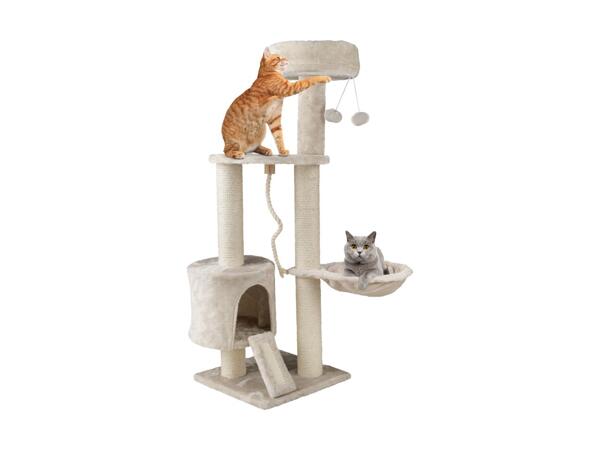 Arbre à chat