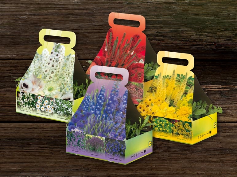 Plantes vivaces dans une boîte avec poignée (dès 10.3.)