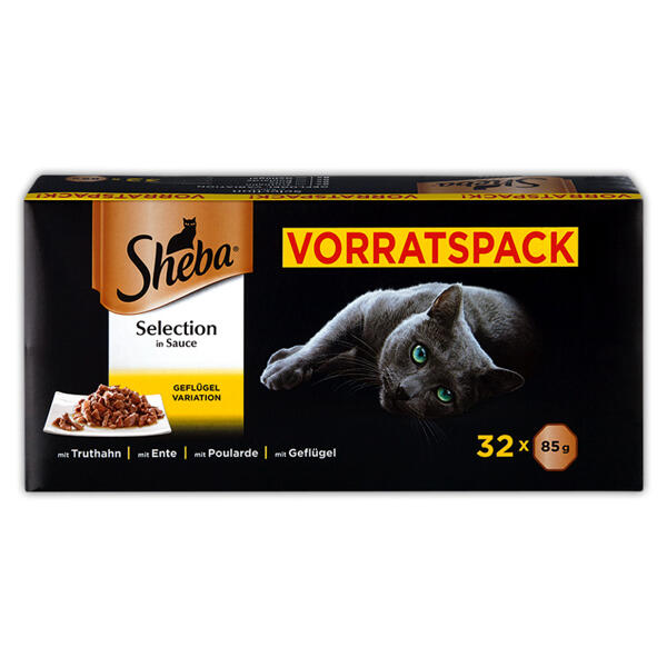 Katzennassnahrung