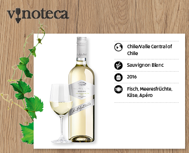 SANTA LUZ Sauvignon Blanc