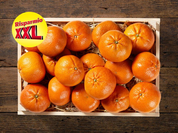 Clementine XXL