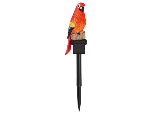 Decorative Solar Light