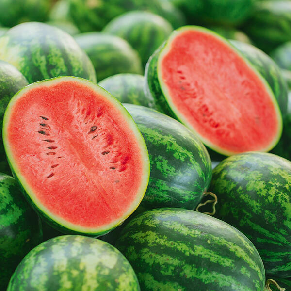 Riesenwassermelone