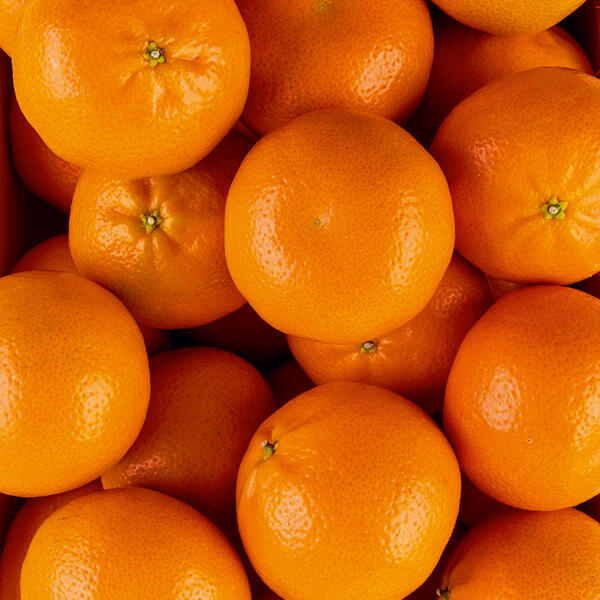 Mandarinen "Götterfrucht"