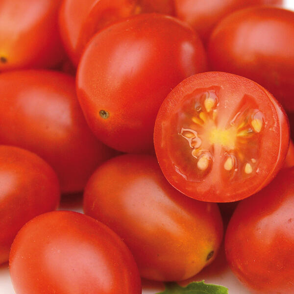 Premium Naschtomaten