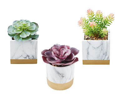 Artificial Plants in Decorative Pots