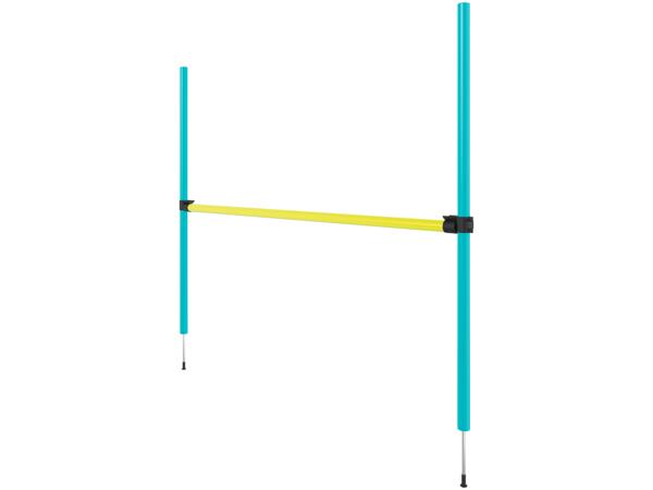 Dog Agility Set