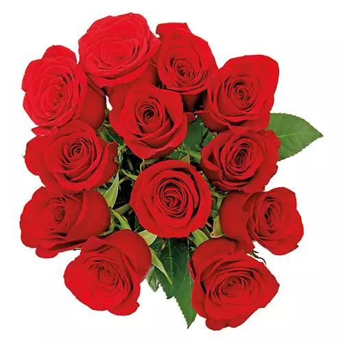 12 Stem Roses - Assorted Color