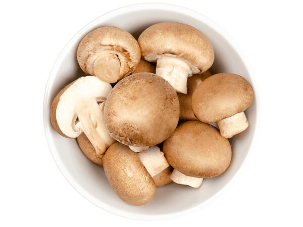 Champignons braun
