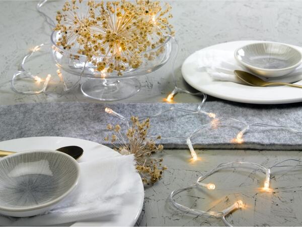LED String Lights