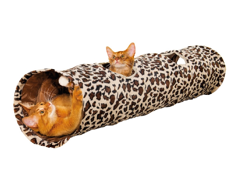 Zoofari Cat Tunnel