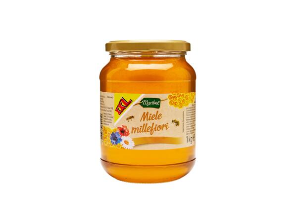 Multi-flower Honey XXL