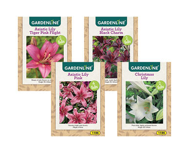 Packet Bulbs