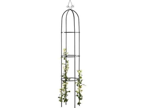 Rose Arch or Garden Obelisk
