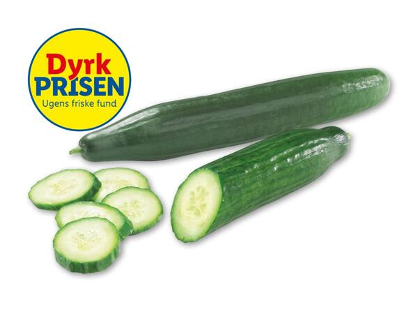 Økologisk agurk