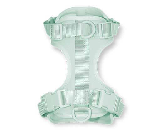 Heart to Tail Dog Harness or Leash