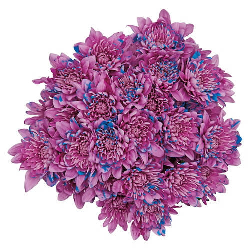 Fresh Flower Bouquet - Assorted Color