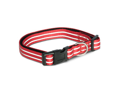 Heart to Tail Padded Dog Collar