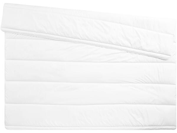 Dust Mite Duvet