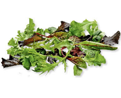 Insalata mista