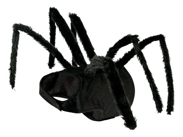 Halloween Dog Costume