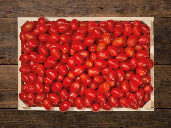 Bio Dattelcherrytomaten