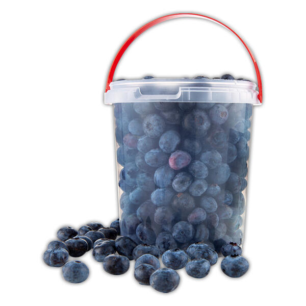 Premium Kulturheidelbeeren