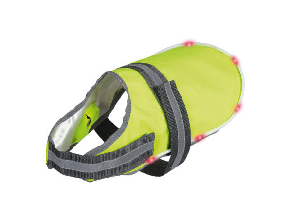 Light Up Dog Coat
