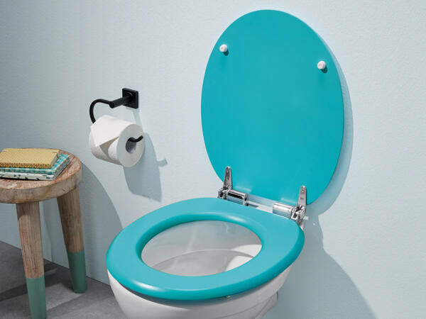 Toilet Seat