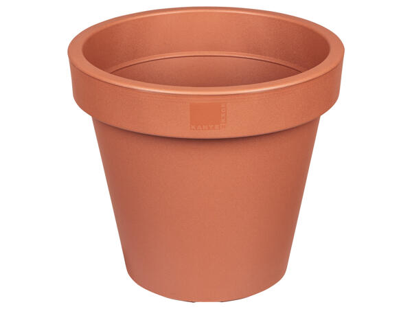 Plant Pot