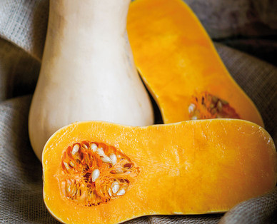 ZURÜCK ZUM URSPRUNG Bio-Fruchtgemüse